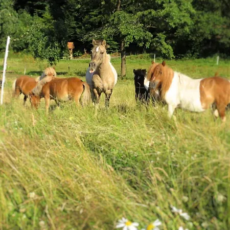 Farm Situated Next To The Kellerwald National Park * Albertshausen
